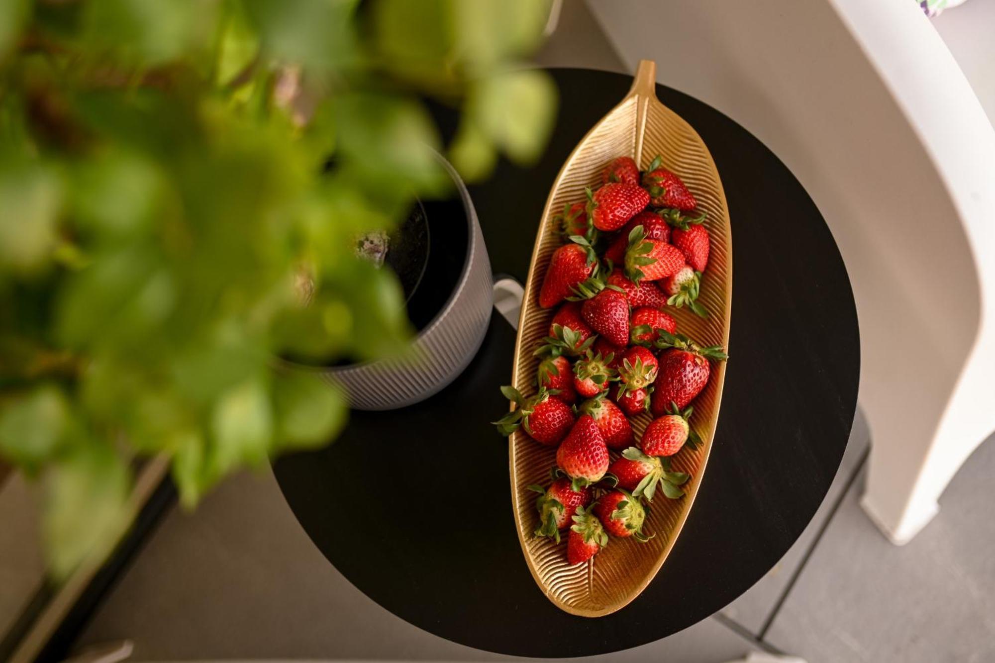 One Verdi Park Exclusive Apartments - Panoramic View & Private Parking ブカレスト 部屋 写真