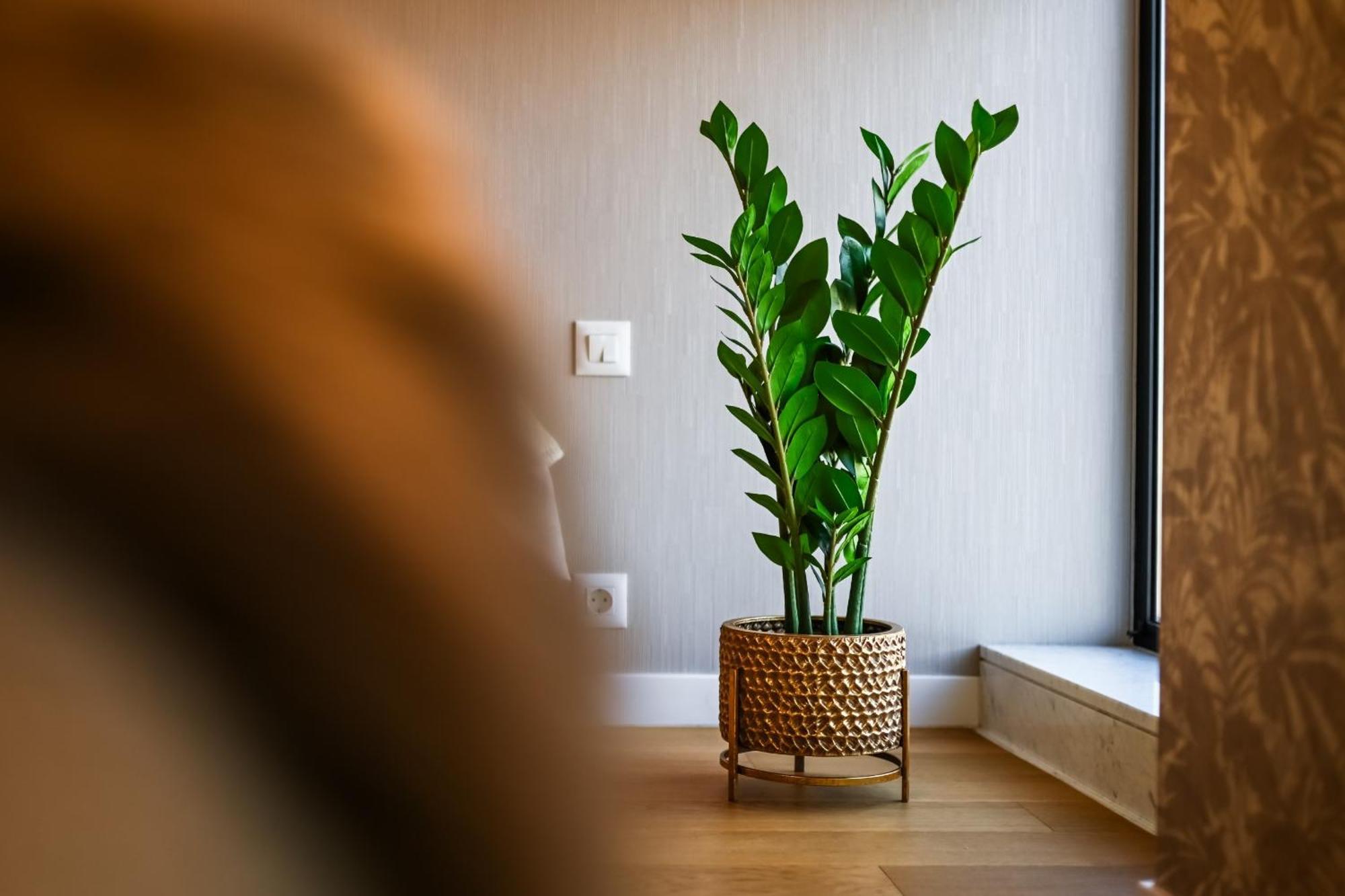One Verdi Park Exclusive Apartments - Panoramic View & Private Parking ブカレスト 部屋 写真
